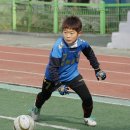 숭곡초등학교 Daum카페