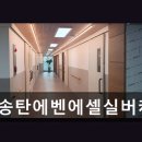 추담로 네이버블로그