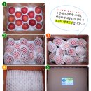 금풍농원