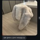 [공지] M4R shearing coat / 무스탕과 시어링의 차이. 시어링코트 모음 - 1 (M2402흰둥이)