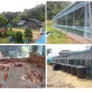 자연축산2 이미지