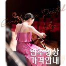 [공지] [채하 스냅] 연주영상 비용 및 상세안내 (25.10.22 ver.)