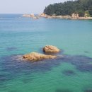 동해바다 2 이미지