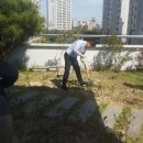 초지동주민센터 이미지