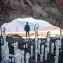 호수와 소나무 이미지