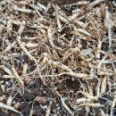 세근농장 이미지