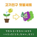 지평선기프트