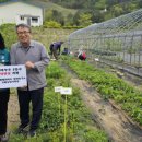 철암동행정복지센터 이미지