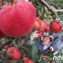 영근농장 이미지