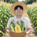 주문진농수산 | 강릉 디저트맛집 빵지순례 오프더월 옥수수타르트 | 여기 안가면 나만 손해