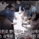 광주동물병원 이미지