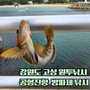 공현 | 강원도 고성 야간 원투낚시 공현진항 방파제 출조 후기