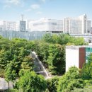 중앙대학교 이미지