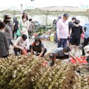 단양생태체육공원 2 이미지