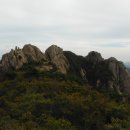 경포대주차장 이미지