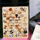 오!비어!! | [국내] 강원도 경포 비치 비어 축제 2026 후기