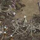 창공의계곡 이미지