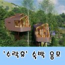 노원-수락-노원-(저)005001 | 5월 개장 노원구 &#39;수락휴&#39; 트리하우스 숙박 이벤트(ft. 노원아트뮤지엄 전시)