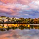 경산시립합창단 지휘자 채용공고 이미지