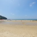 스케디오디자인 이미지