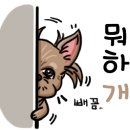 조은동물병원 이미지