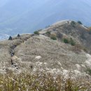 하얀산장민박 이미지