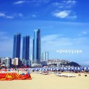 해운대 네이버블로그