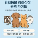 박효리군 동물병원 | 반려동물 장례식장 완벽 가이드 (2025년 최신)