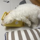 이상백농장 이미지