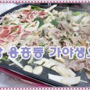 가야생오리 이미지