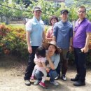 샬롬세탁 이미지