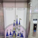 명지애견유치원호텔 댕즈니랜드 본점 이미지