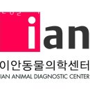 이안동물의학센터 | 강남구 청담동 동물병원 이안동물의학센터 진료시간 접근성 이용후기