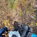 황산면사무소 이미지