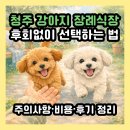 하나로약국 | 청주 강아지 장례식장 찾는다면? 추천, 후기와 비용까지 이 글 하나로 끝.