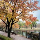 중부-현장-중부-792 이미지