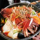 눈맞은짝태앤노가리 - 음성군 대성로 617 | 양주 고읍동 술집｜눈맞은짝태연어 해물 안주 맛집 단골 후기