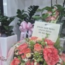 트윈타워온누리약국 이미지