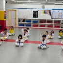 경희대 에이스 태권도 이미지
