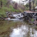 유명산 라온캠핑장 이미지