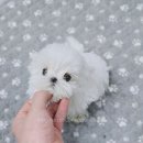 브리더하우스 이미지