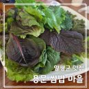 용문농장 | [양평군 맛집] 용문산농장 쌈밥 마을 - 용문사 가는 길(ft.신선한 쌈 무한리필)