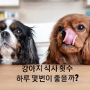 놀고 먹고 자개 이미지