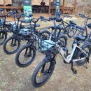 왕피천힐링팜 이미지