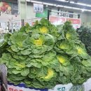 씨케이 식자재 마트 이미지