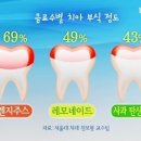 시골부식