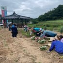 도계마을 이미지