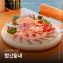 등대일식 | 부산 영도 점심 맛집 빨간등대 로컬 추천 근사한 회 코스 요리