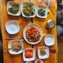 성동로 | 파주맛집 헤이리 근처 애견동반 가능한 정원 예쁜 쌈밥집 토향 낙지직화볶음 솔직 후기
