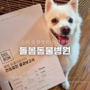 돌봄 동물병원 | 수원 동물병원 강아지 건강검진 추천후기 돌봄동물병원
